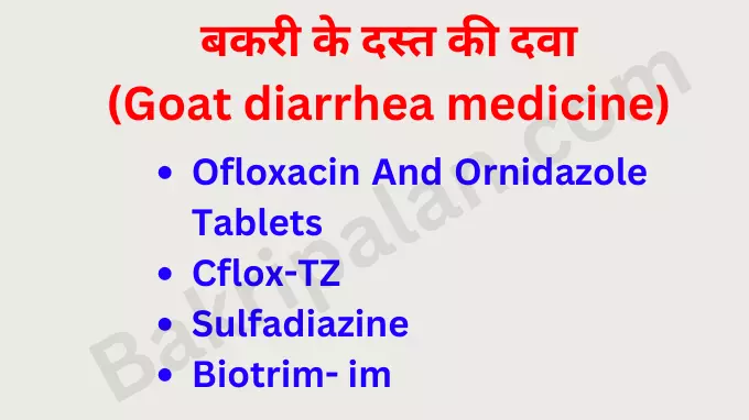 Goat diarrhea medicine