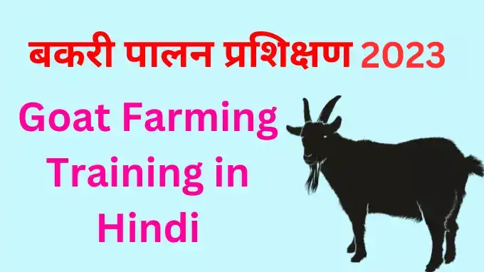 Goat Farming Training 2023