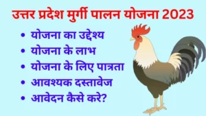 poultry farm loan yojana