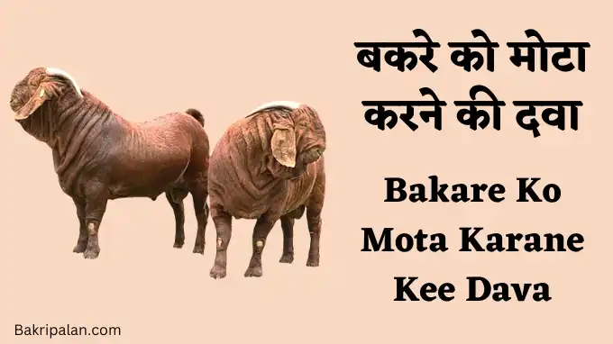 Bakare-Ko-Mota-Karane-Kee-Dava