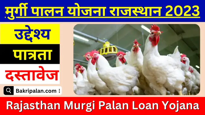 Rajasthan Murgi Palan Loan Yojana
