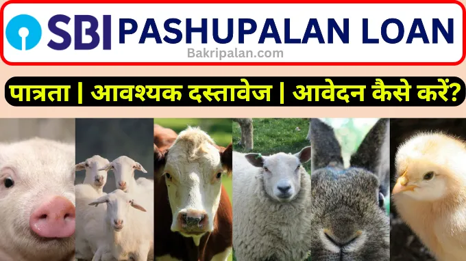 SBI Pashupalan Loan Hindi